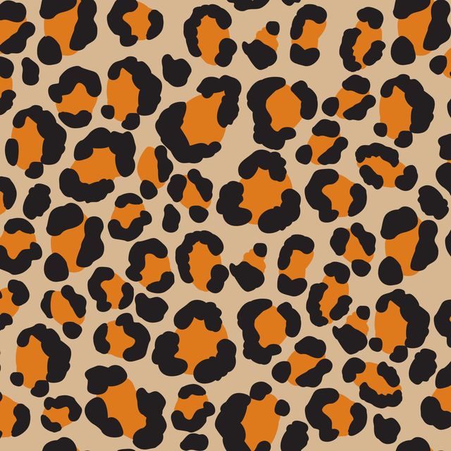 Camouflage & Animal Textures 09