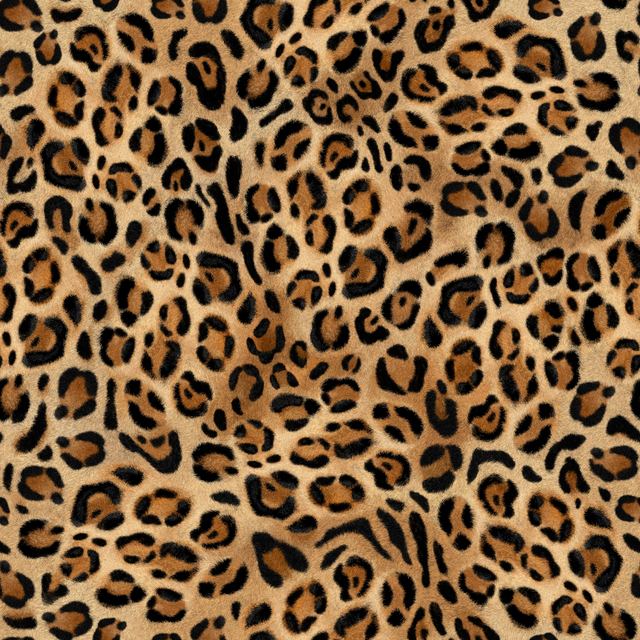 Camouflage & Animal Textures 19