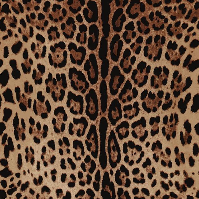 Camouflage & Animal Textures 29