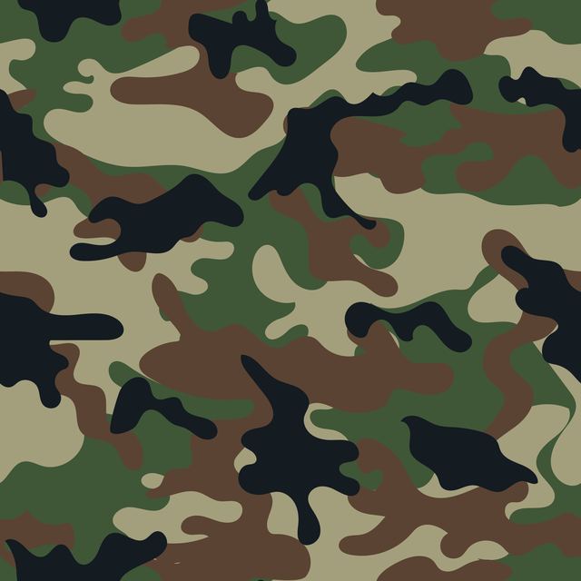 Camouflage & Animal Textures 42