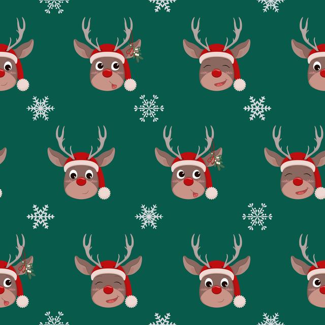 Holiday & Lifestyle 14