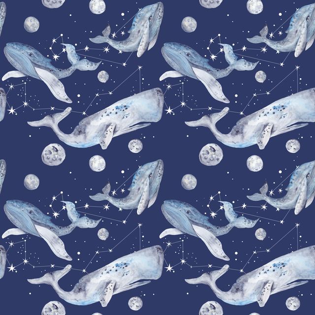Ocean & Aquatic 18