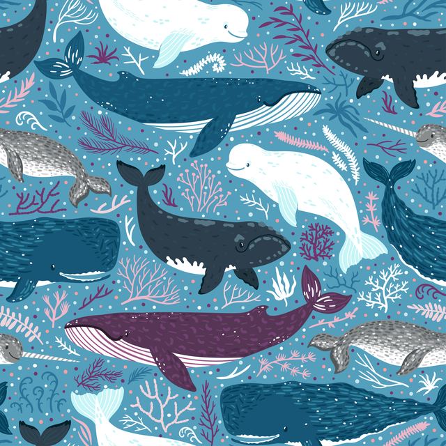 Ocean & Aquatic 19